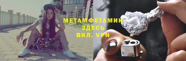 прущие грибы Фурманов