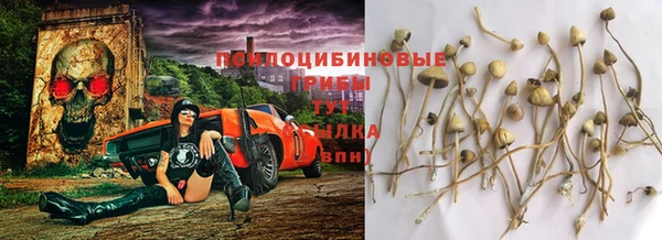 соль курить ск Пересвет