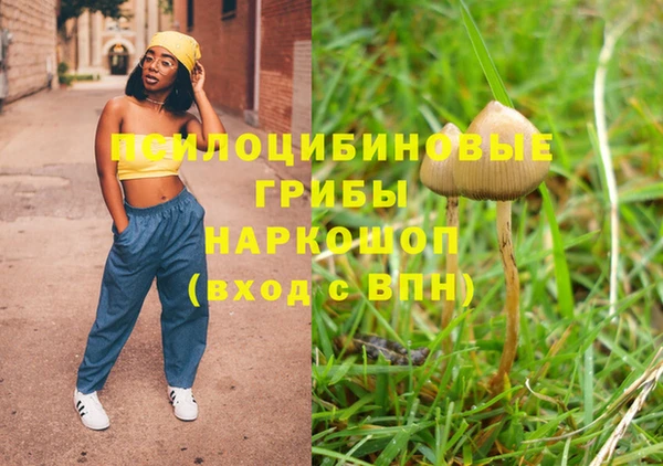 дживик Пестово