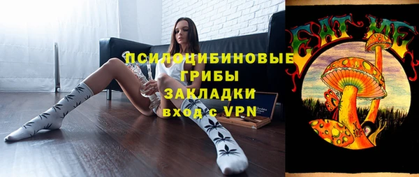 дживик Пестово
