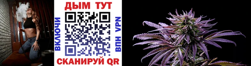 что такое Энем Канабис марихуана